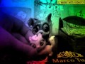 Lps клип мой кот любит хип хоп🐱🐱🐱🐱🐱🐱🐱❤❤❤