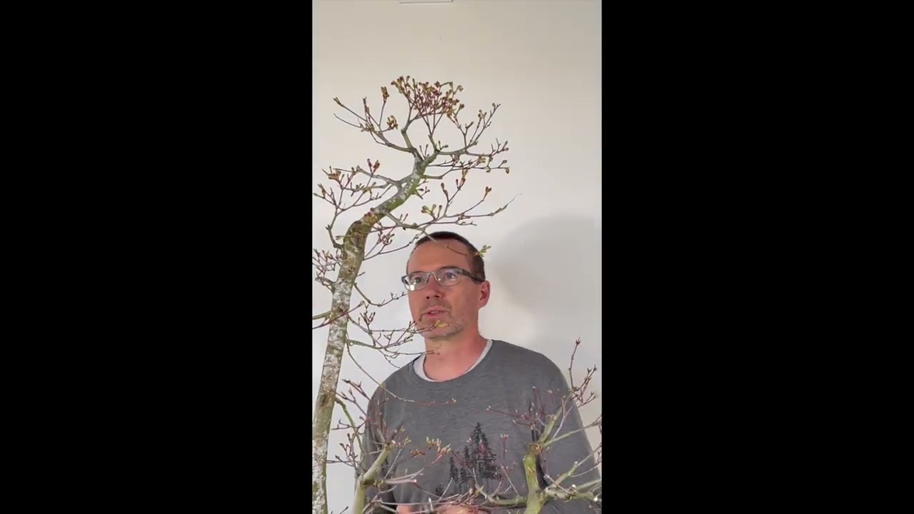 9th WBC Michael Hagedorn Demonstrator 007