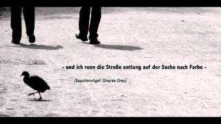 Seuchenvögel - Grau zu Grau (piano cover)