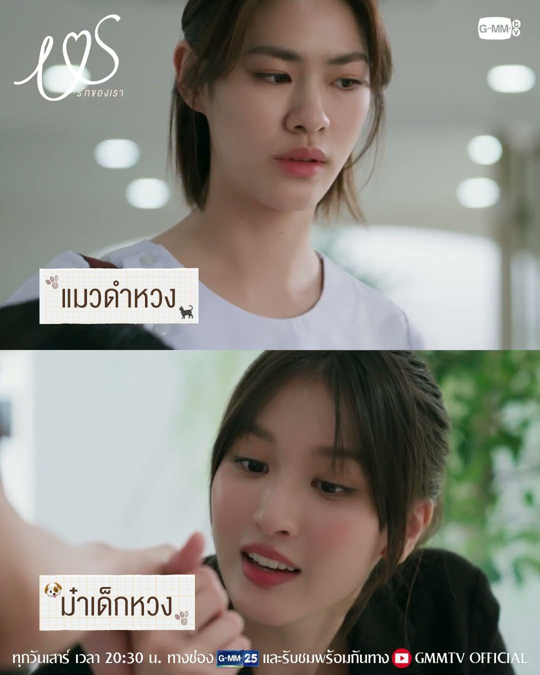แมวดำหวง vs ม๋าเด็กหวง ชอบทีมไหน เลือกกันได้เลยจ้าา ?? #USTheSeries