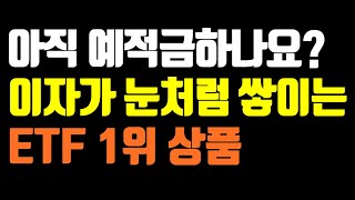 국내 ETF 1위는 이것입니다! 목돈 굴리기는 여기서부터 하세요.