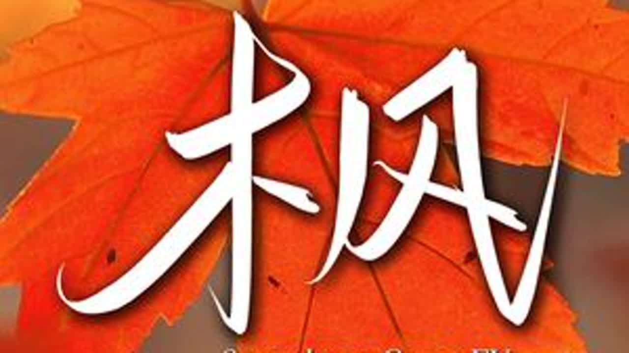 【完整版】可惜你不听《枫》更不知道 枫的最后一句… #萨克斯 #周杰伦 #枫 - YouTube
