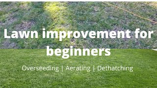 My lawn improvement for beginners - Overseeding | Aerating | Dethatching