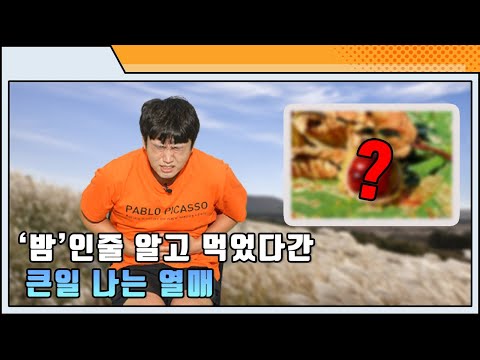 밤’🌰<strong>인</strong> 줄 <strong>알고</strong> 먹었다간 큰일 나는 열매