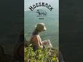 Hogsback, Eastern Cape || 2024 🐗 #hogsback #easterncape #southafrica