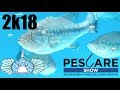 Pescare Show Vicenza 2018 - Visitate con NOI la Fiera! Fishing & Biodiversity