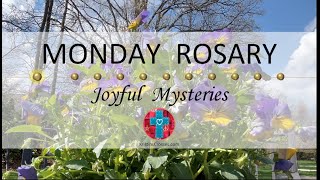 Monday Rosary • Joyful Mysteries of the Rosary  April 29, 2024 VIRTUAL ROSARY  MEDITATION