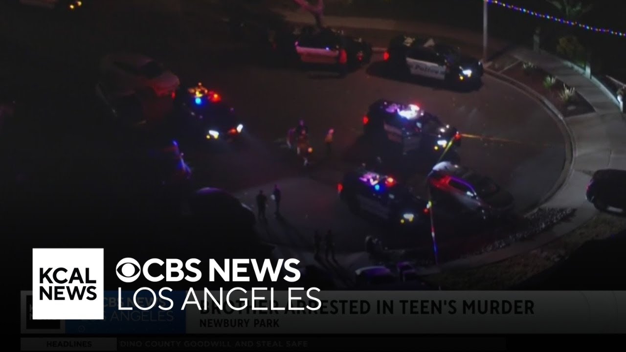 Family says Newbury Park teenager was killed by his brother, son of ...