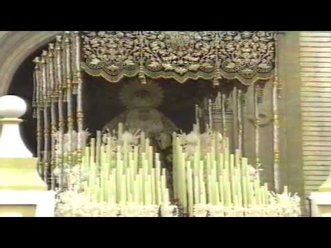 Real, Ilustre y Fervorosa Hermandad Sacramental de la Pura y Limpia Concepción de la Santísima Virgen María, Ánimas Benditas del Purgatorio y Cofradía de Nazarenos del Santísimo Cristo de la Salud, María Santísima del Refugio, Santa Cruz, Nuestra Señora del Patrocinio, Santa Bárbara y San Bernardo