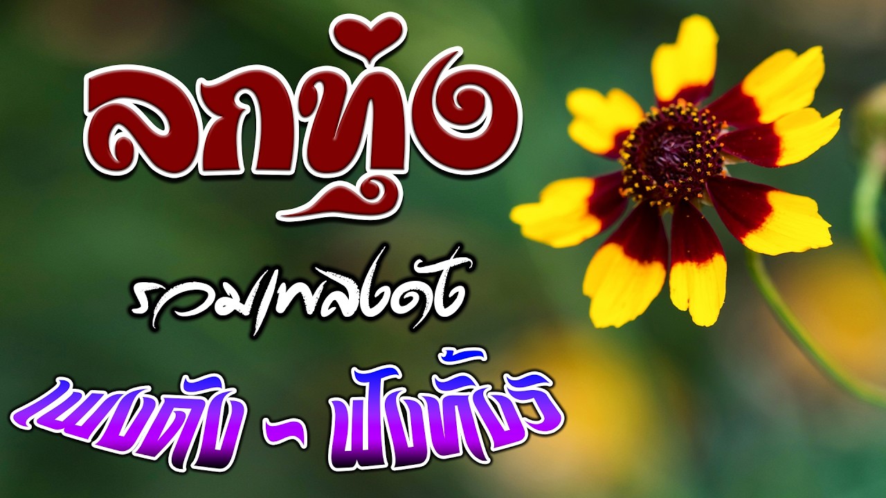 📌เพลงลูกทุ่งฟังเพราะ 100% ไม่มีโฆษณา 💖 #รวมเพลงลูกทุ่งฟังเพราะ #เสียงดี #ฟังแบบต่อเนื่อง