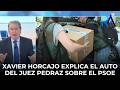 XAVIER HORCAJO explica el AUTO del JUEZ PEDRAZ sobre el PSOE