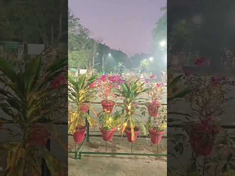 Night View @IITK, Kanpur