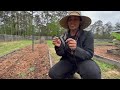 Camel Training + Garden Update | Dreka Gates