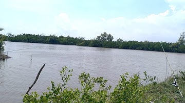 Duy Cá Ngát chia sẽ điểm câu từ Tam Thông Hiệp qua An Thới Đông Cần Giờ và Nhà Bè