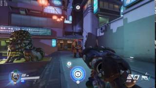Roadhog Bug