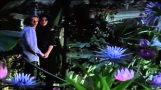 King And Lionheart Multifandom