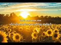 You are my sunshine // Myanmar Subtitles  Lyrics 