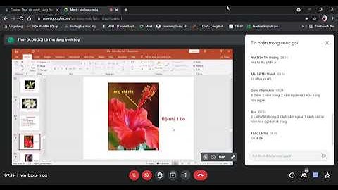 THỰC VẬT DƯỢC (NTTU) tuần 5: HOA - QUẢ - HẠT (2)