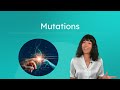 Biology: Understanding Mutations