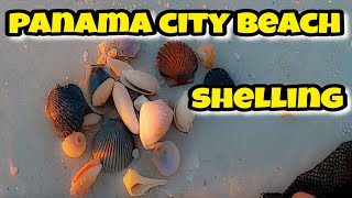Caught On Camera Amazing Shelling On Panama City Beach