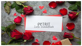 Petrit Vullkani - Zarfe Trendafilash Resimi