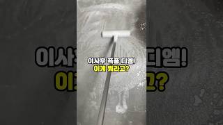 이사후 폭풍 디엠! 이게 뭐라고? #주부추천템 #청소용품