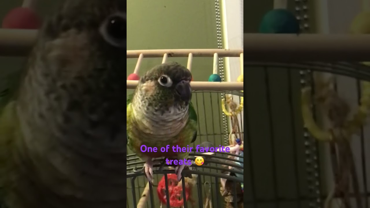 Oatmeal, chia seeds and a sprinkle of Ceylon cinnamon. 