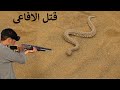 شاهد صيد الافاعى الخطيرة بالبنادق والسهام                                                     دندنها