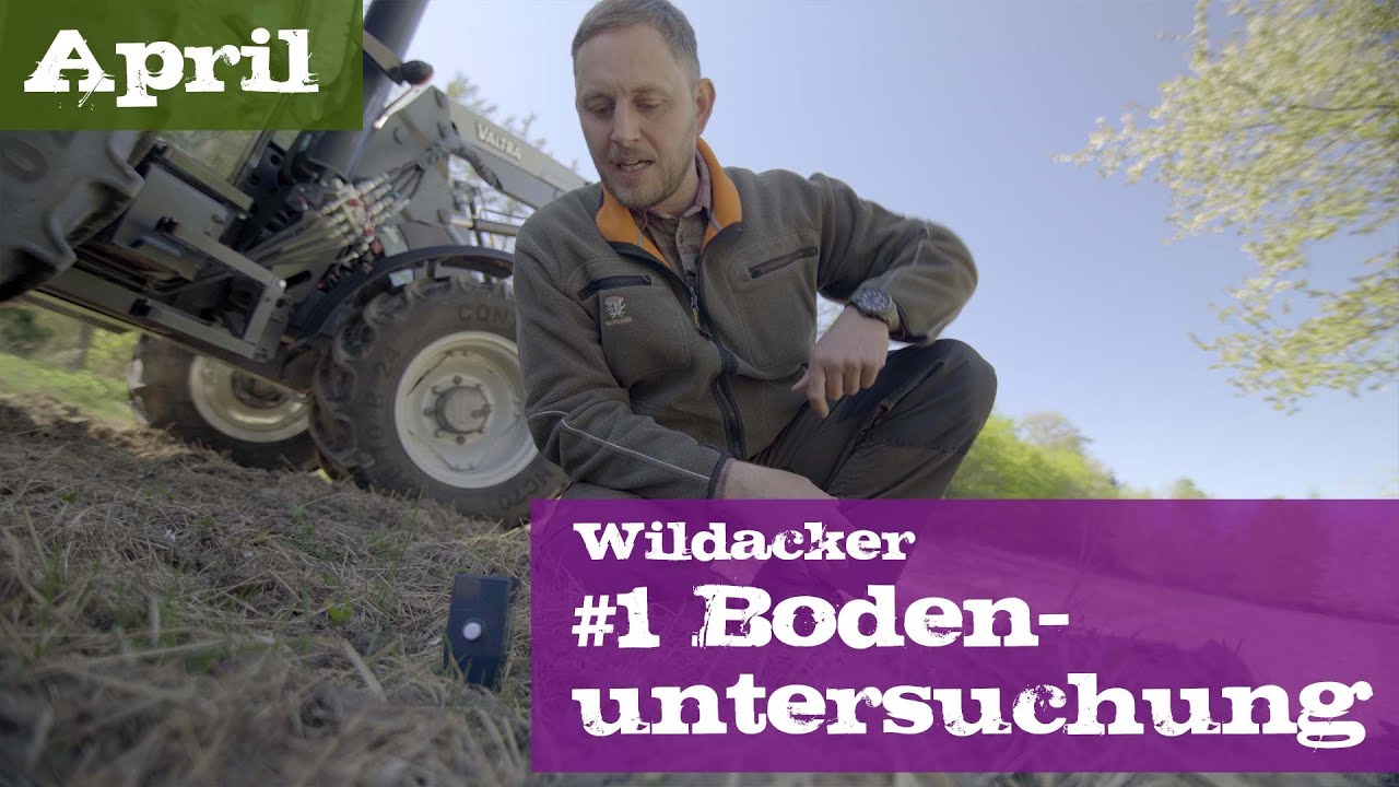 Wildacker #1 Bodenuntersuchung | April | Ein Jagdjahr durchs Jagdrevier