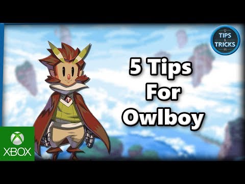 5 نصائح رائعة للعبة المنصات والمغامرات Owlboy