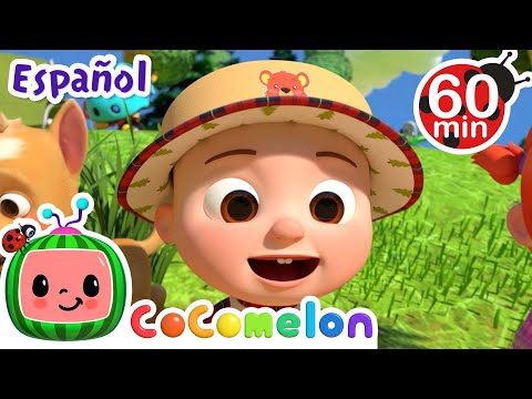 ¡CoComelon! | EN EL ESTANQUE | 1 HORA de Canciones Infantiles en Español Latino