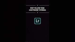 part-10 lightroom editing tutorial  Fent yellow Tone background photo editing apply to your photos