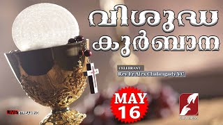 HOLY MASS LIVE @6 AM,16 MAY 2024|Rev Fr Alex Chalangady VC|MALAYALAM QURBANA|TODAY MASS|GOODNESS TV