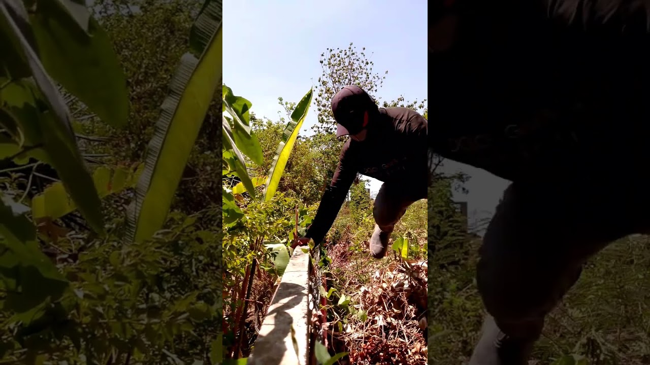 cut out with panel board supply swimming pool..new connection