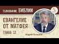 Евангелие от Матфея. Глава 12. Андрей Солодков. Новый Завет