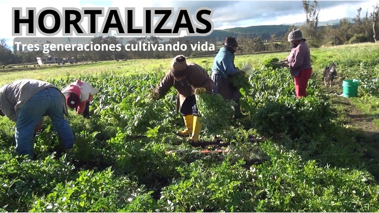 LAS HORTALIZAS: El secreto de la familia QUISPE