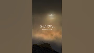 الشيخ#عبدالله_الموسى |سورة المؤمنون