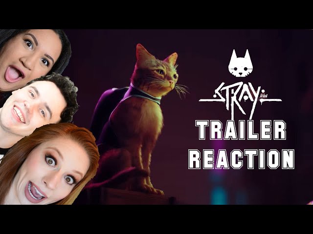 Reaction STRAY PS5 Jogo de Gato ! Fiquei emocionado - (Reação