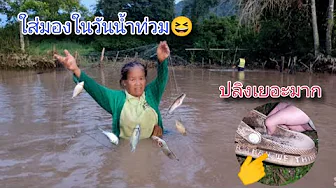 Heavy rain has caused the water level in the stream to rise a lot. Will we catch fish on the day ...