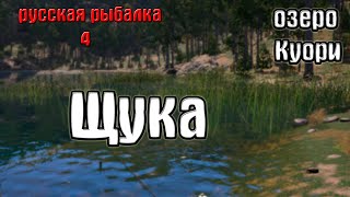 Русская рыбалка 4/рр4/rf4 - озеро Куори. Щука.