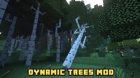 Minecraft 1.16.5 - Dynamic Trees mod