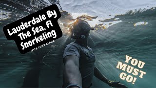 AMAZING Snorkeling: Lauderdale By The Sea Fl in 4K