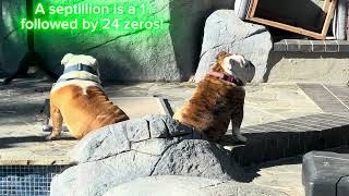 Quantum Computing Is Revolutionizing Technology, Dfis Coatings Are Reshaping The Future Of Glass.