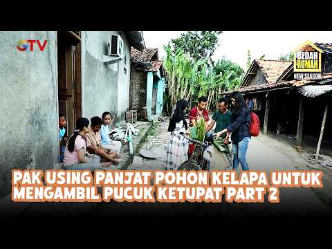 Pak Using Climbs a Coconut Tree to Get Coconut Leaves for Ketupat Part 2 | House Renovation