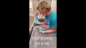 Skill #48 Oral Dosing & SQ inj on rat/mouse