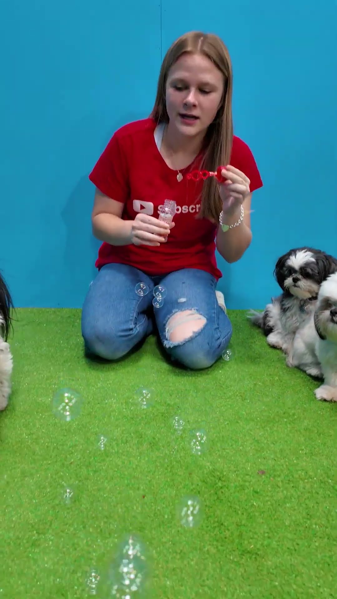 Assistant has her Funny Dogs Wiggles Waggles and Waffles Try Maple Bacon Bubbles #FamilyFun #Dogs