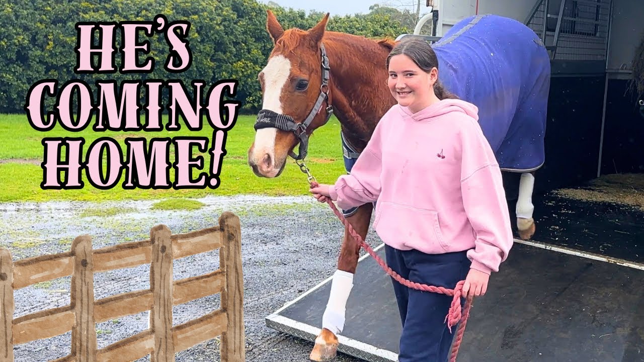 BRINGING HOME MY FIRST PONY RUSTY