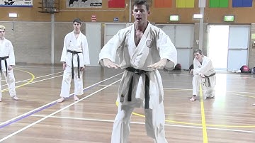 Seisan Tip 2: Simultaneous Block and Strike