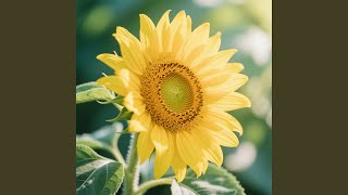 Download Lagu Dunia Memancarkan Langit MP3