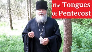THE TONGUES OF PENTECOST
The descent of the Holy Spirit at Pentecost enables us to enter the Kingdom of God. THE TONGUES OF PENTECOST
